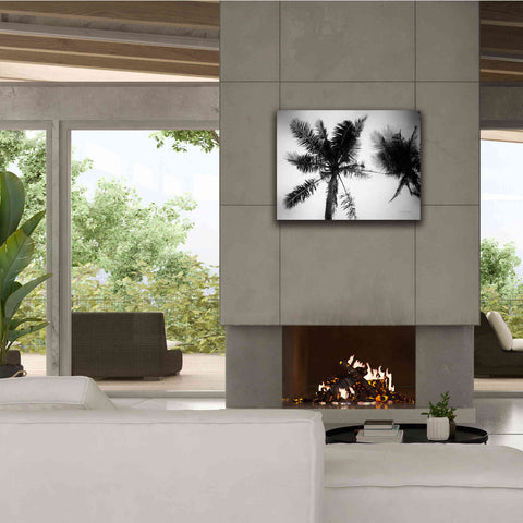 Image of 'Palm Tree Looking Up II' by Debra Van Swearingen, Canvas Wall Art,34 x 26