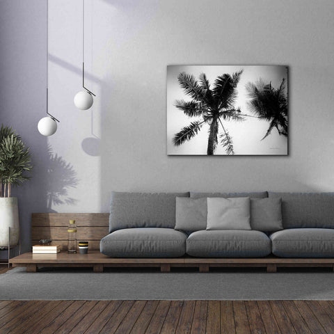 Image of 'Palm Tree Looking Up II' by Debra Van Swearingen, Canvas Wall Art,54 x 40