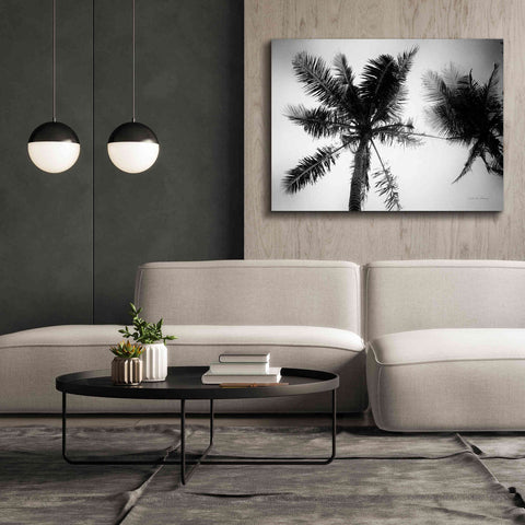 Image of 'Palm Tree Looking Up II' by Debra Van Swearingen, Canvas Wall Art,54 x 40