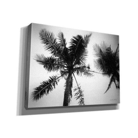 Image of 'Palm Tree Looking Up II' by Debra Van Swearingen, Canvas Wall Art,16x12x1.1x0,26x18x1.1x0,34x26x1.74x0,54x40x1.74x0