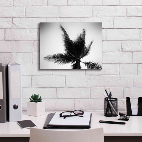 Image of 'Palm Tree Looking Up IV' by Debra Van Swearingen, Canvas Wall Art,16 x 12