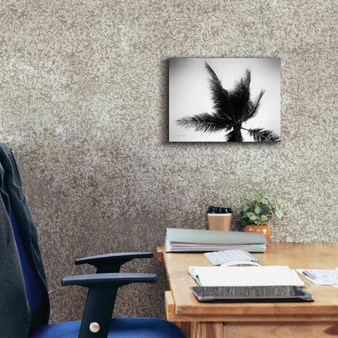 Image of 'Palm Tree Looking Up IV' by Debra Van Swearingen, Canvas Wall Art,16 x 12