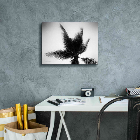 Image of 'Palm Tree Looking Up IV' by Debra Van Swearingen, Canvas Wall Art,16 x 12