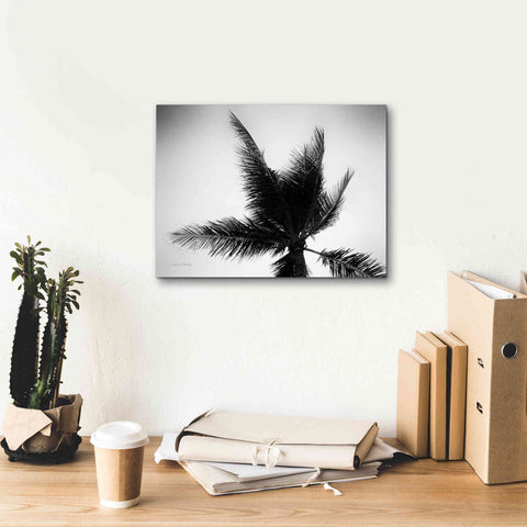 Image of 'Palm Tree Looking Up IV' by Debra Van Swearingen, Canvas Wall Art,16 x 12