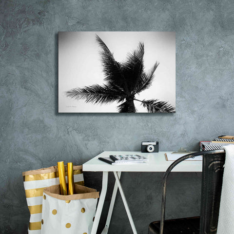 Image of 'Palm Tree Looking Up IV' by Debra Van Swearingen, Canvas Wall Art,26 x 18