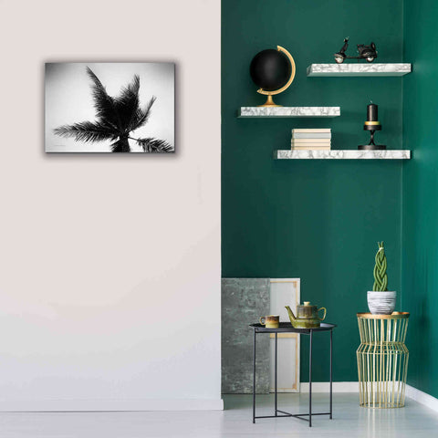 Image of 'Palm Tree Looking Up IV' by Debra Van Swearingen, Canvas Wall Art,26 x 18