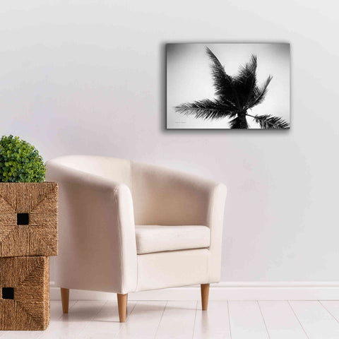 Image of 'Palm Tree Looking Up IV' by Debra Van Swearingen, Canvas Wall Art,26 x 18