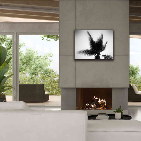 Image of 'Palm Tree Looking Up IV' by Debra Van Swearingen, Canvas Wall Art,34 x 26