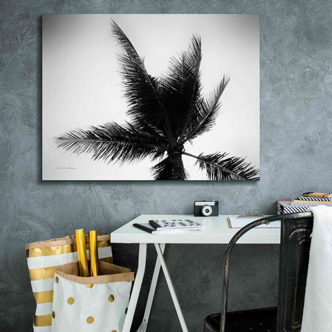 Image of 'Palm Tree Looking Up IV' by Debra Van Swearingen, Canvas Wall Art,34 x 26