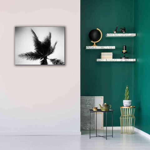Image of 'Palm Tree Looking Up IV' by Debra Van Swearingen, Canvas Wall Art,34 x 26