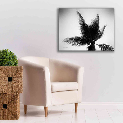 Image of 'Palm Tree Looking Up IV' by Debra Van Swearingen, Canvas Wall Art,34 x 26