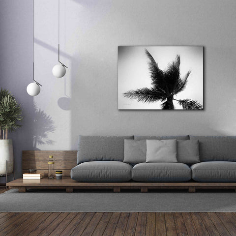 Image of 'Palm Tree Looking Up IV' by Debra Van Swearingen, Canvas Wall Art,54 x 40