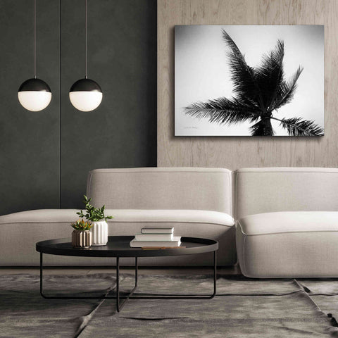 Image of 'Palm Tree Looking Up IV' by Debra Van Swearingen, Canvas Wall Art,54 x 40