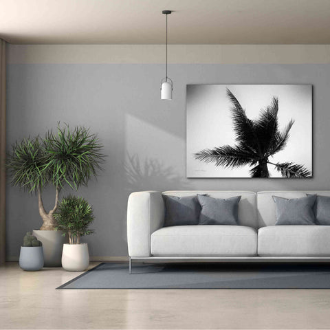 Image of 'Palm Tree Looking Up IV' by Debra Van Swearingen, Canvas Wall Art,54 x 40