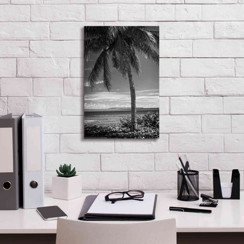 Image of 'Ocean View' by Debra Van Swearingen, Canvas Wall Art,12 x 18