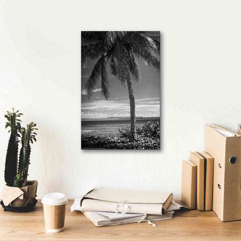 Image of 'Ocean View' by Debra Van Swearingen, Canvas Wall Art,12 x 18