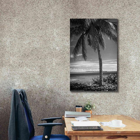 Image of 'Ocean View' by Debra Van Swearingen, Canvas Wall Art,26 x 40