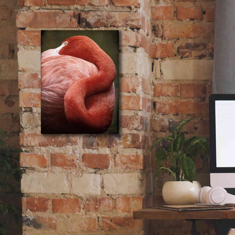 Image of 'Caribbean Flamingo I' by Debra Van Swearingen, Canvas Wall Art,12 x 16