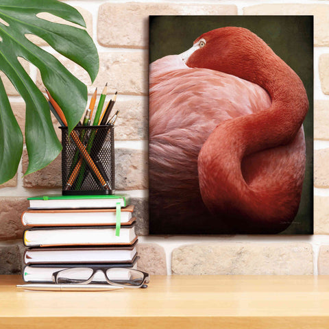 Image of 'Caribbean Flamingo I' by Debra Van Swearingen, Canvas Wall Art,12 x 16
