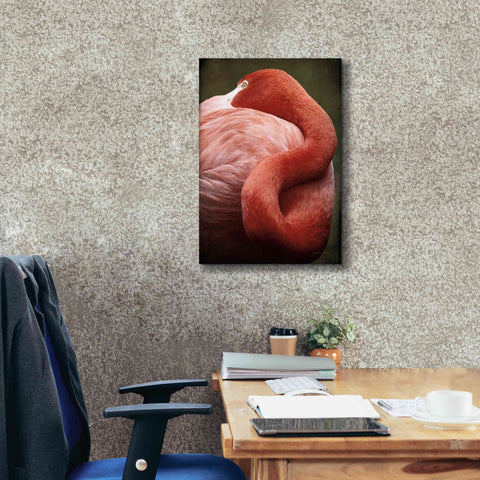 Image of 'Caribbean Flamingo I' by Debra Van Swearingen, Canvas Wall Art,18 x 26