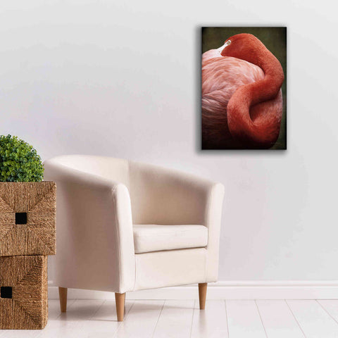 Image of 'Caribbean Flamingo I' by Debra Van Swearingen, Canvas Wall Art,18 x 26