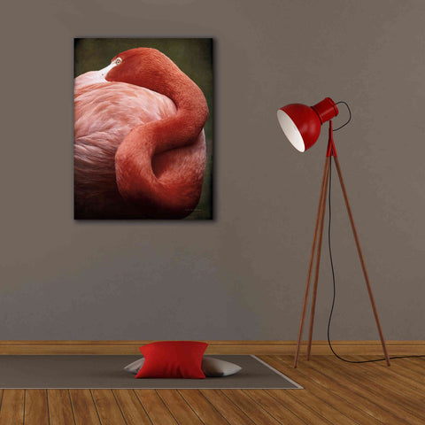 Image of 'Caribbean Flamingo I' by Debra Van Swearingen, Canvas Wall Art,26 x 34
