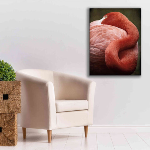 Image of 'Caribbean Flamingo I' by Debra Van Swearingen, Canvas Wall Art,26 x 34