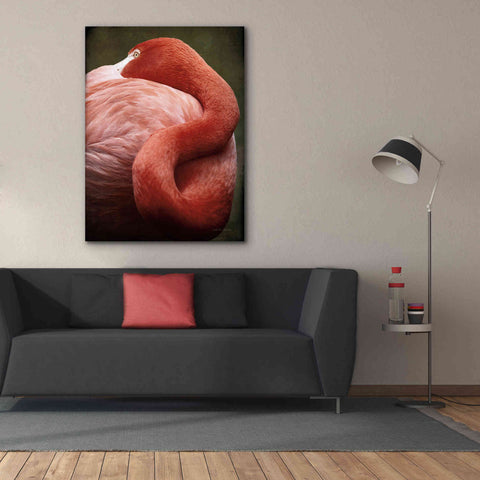 Image of 'Caribbean Flamingo I' by Debra Van Swearingen, Canvas Wall Art,40 x 54