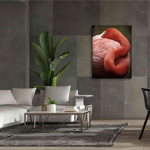 Image of 'Caribbean Flamingo I' by Debra Van Swearingen, Canvas Wall Art,40 x 54