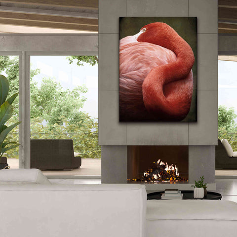 Image of 'Caribbean Flamingo I' by Debra Van Swearingen, Canvas Wall Art,40 x 54