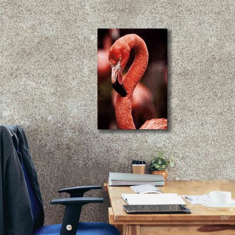 Image of 'Caribbean Flamingo II' by Debra Van Swearingen, Canvas Wall Art,18 x 26