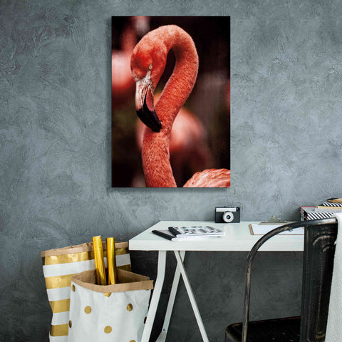 Image of 'Caribbean Flamingo II' by Debra Van Swearingen, Canvas Wall Art,18 x 26