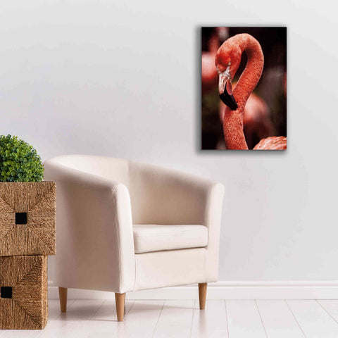 Image of 'Caribbean Flamingo II' by Debra Van Swearingen, Canvas Wall Art,18 x 26