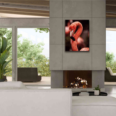 Image of 'Caribbean Flamingo II' by Debra Van Swearingen, Canvas Wall Art,26 x 34