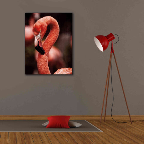 Image of 'Caribbean Flamingo II' by Debra Van Swearingen, Canvas Wall Art,26 x 34
