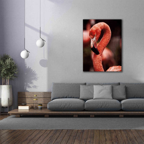 Image of 'Caribbean Flamingo II' by Debra Van Swearingen, Canvas Wall Art,40 x 54