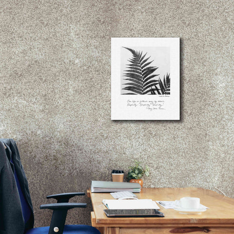 Image of 'Delicate Fern v2' by Debra Van Swearingen, Canvas Wall Art,20 x 24