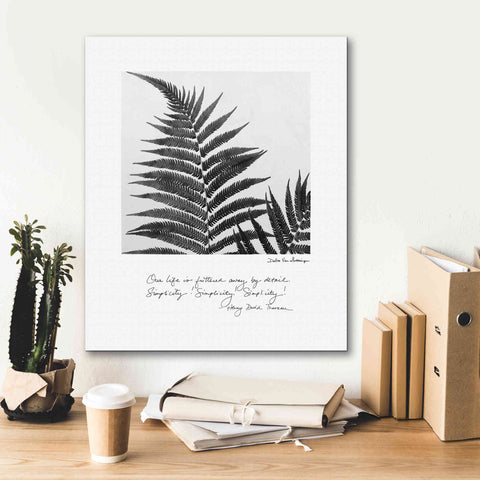 Image of 'Delicate Fern v2' by Debra Van Swearingen, Canvas Wall Art,20 x 24