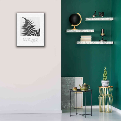 Image of 'Delicate Fern v2' by Debra Van Swearingen, Canvas Wall Art,20 x 24