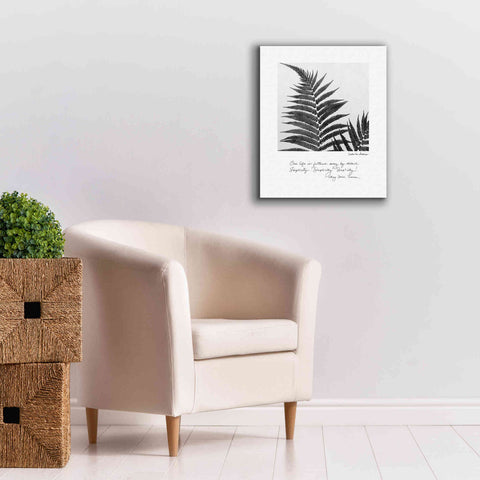 Image of 'Delicate Fern v2' by Debra Van Swearingen, Canvas Wall Art,20 x 24