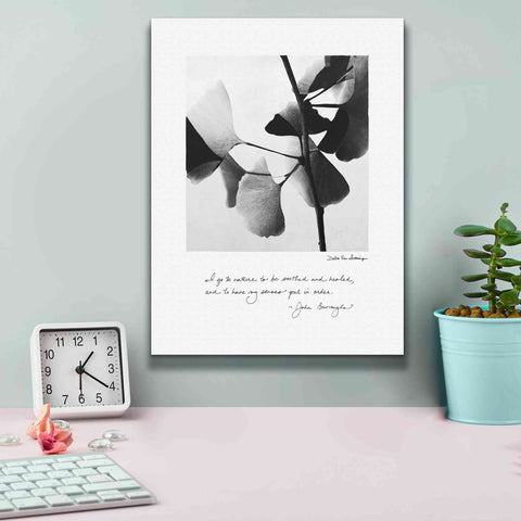 Image of 'Delicate Ginkgo v2' by Debra Van Swearingen, Canvas Wall Art,12 x 16