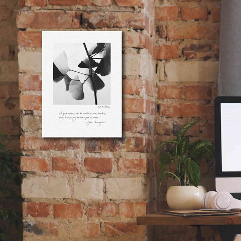 Image of 'Delicate Ginkgo v2' by Debra Van Swearingen, Canvas Wall Art,12 x 16