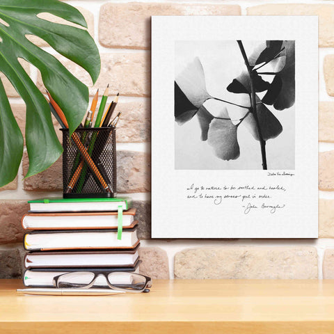 Image of 'Delicate Ginkgo v2' by Debra Van Swearingen, Canvas Wall Art,12 x 16