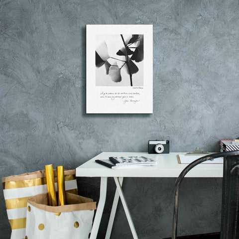 Image of 'Delicate Ginkgo v2' by Debra Van Swearingen, Canvas Wall Art,12 x 16