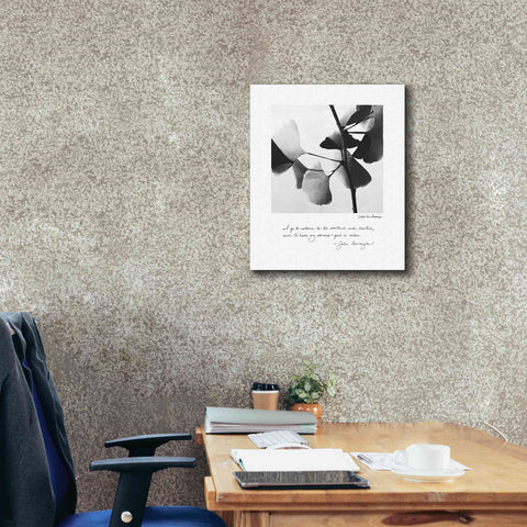 Image of 'Delicate Ginkgo v2' by Debra Van Swearingen, Canvas Wall Art,20 x 24