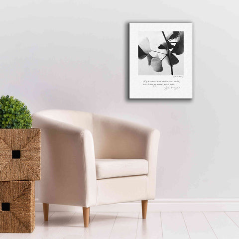 Image of 'Delicate Ginkgo v2' by Debra Van Swearingen, Canvas Wall Art,20 x 24