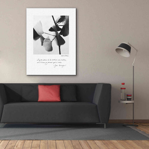 Image of 'Delicate Ginkgo v2' by Debra Van Swearingen, Canvas Wall Art,40 x 54