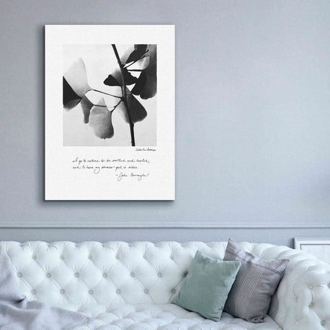 Image of 'Delicate Ginkgo v2' by Debra Van Swearingen, Canvas Wall Art,40 x 54