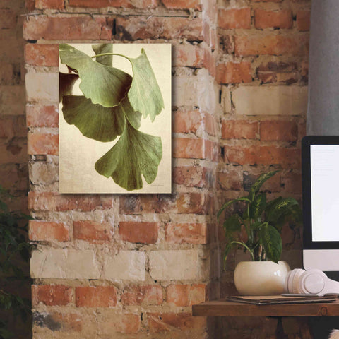 Image of 'Gingko Color' by Debra Van Swearingen, Canvas Wall Art,12 x 16
