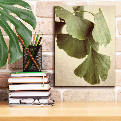 Image of 'Gingko Color' by Debra Van Swearingen, Canvas Wall Art,12 x 16